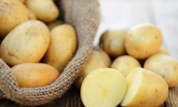Patatesin Baharatlı Sırrı 🥔✨: Evde Lezzeti Katlamanın Yolu