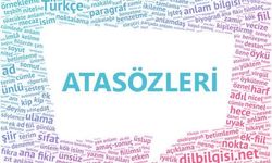 “Aç Aslandan Tok Domuz Yeğdir” Ne Anlatıyor? Bu Atasözü Günlük Hayatta Bakın Nerede Kullanılıyor