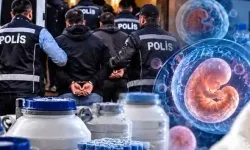 14 ilde üreme hücresi ve doku ticareti operasyonu! 36 gözaltı