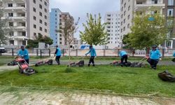 Adıyaman Belediyesi parklarda bakım ve temizlik çalışmalarını sürdürüyor