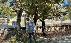 Adıyaman'da Eski Mezarlık'ta bakım ve temizlik çalışması başlatıldı