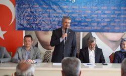 Alkayış: AK Parti'nin gücü sahadaki birlik ve beraberliğidir
