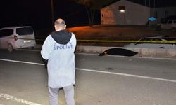 Besni'de otomobilin çarptığı yaya hayatını kaybetti