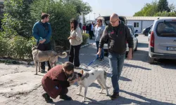 Bornova'da can dostları yeni sahipleriyle buluştu
