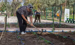 İzmir'de toprakla buluştu, yaşama yeniden tutundu