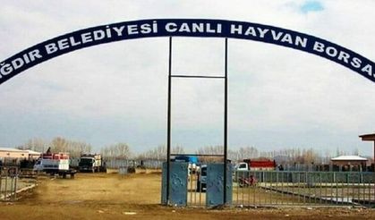 Şap hastalığından dolayı Iğdır hayvan pazarı kapatıldı