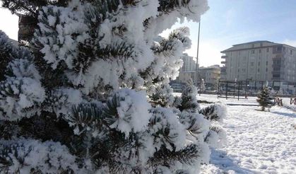 Ardahan’da dondurucu soğukları: Göle -29,8 derece
