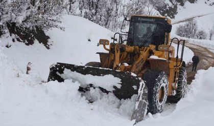 Bitlis’in köylerinde karla mücadele çalışması