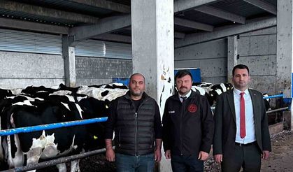 Eskişehir Damızlık Sığır Yetiştiriciler Birliği’ne ’Hastalıktan Ari İşletme Sertifikası’