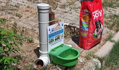 Gediz’de sokak hayvanları unutulmadı