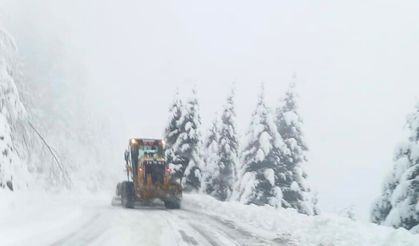 Giresun’da 45 köy yolu kar nedeniyle ulaşıma kapandı
