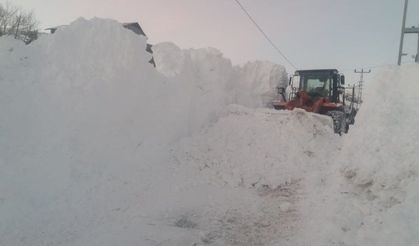 Kar ve tipi Posof’u esir aldı
