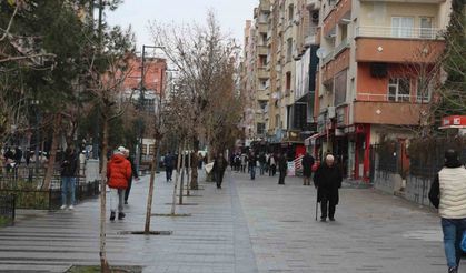 Siirt en genç nüfus oranında üçüncü il oldu
