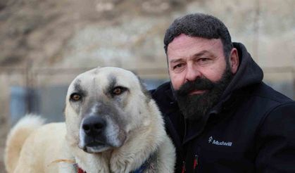 Sınır ötesi güvenliği için kangal tavsiyesi