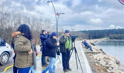 Sinop’ta su kuşu sayımı