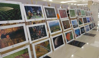 Tarım, orman ve insanı anlatan fotoğraflar Uşaklılarla buluştu