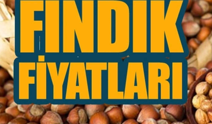 Fındık fiyatları güncel 2024