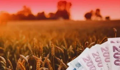TMO'dan üreticilere 4,2 milyar liralık ürün bedeli ödemesi