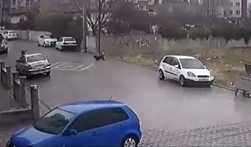 Kendisine doğru koşan köpekleri fark etti, otomobil üzerine çıktı