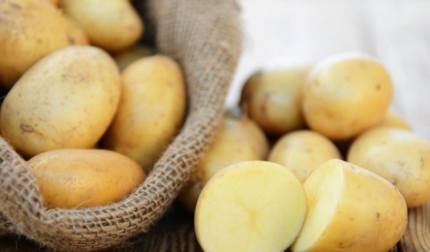 Patatesin Baharatlı Sırrı 🥔✨: Evde Lezzeti Katlamanın Yolu