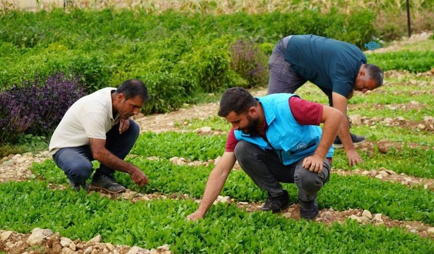 Adıyaman'da belediye ve kadın kooperatifinin üretim merkezinde sonbahar mesaisi