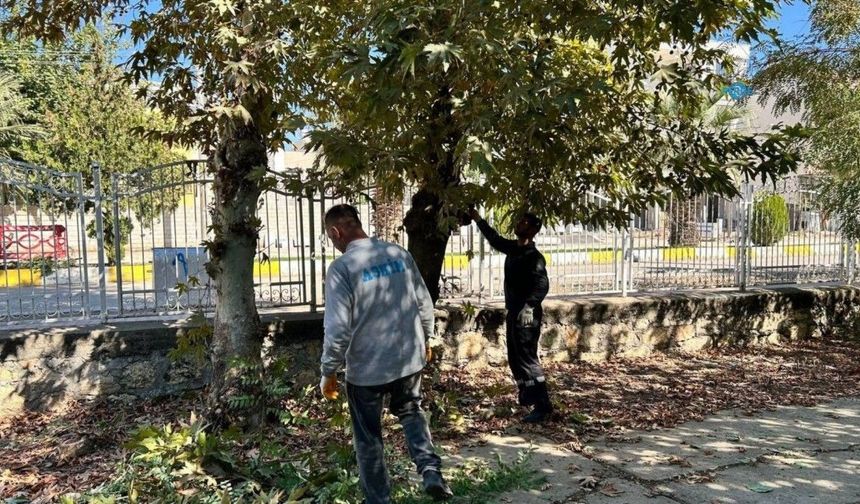 Adıyaman'da Eski Mezarlık'ta bakım ve temizlik çalışması başlatıldı