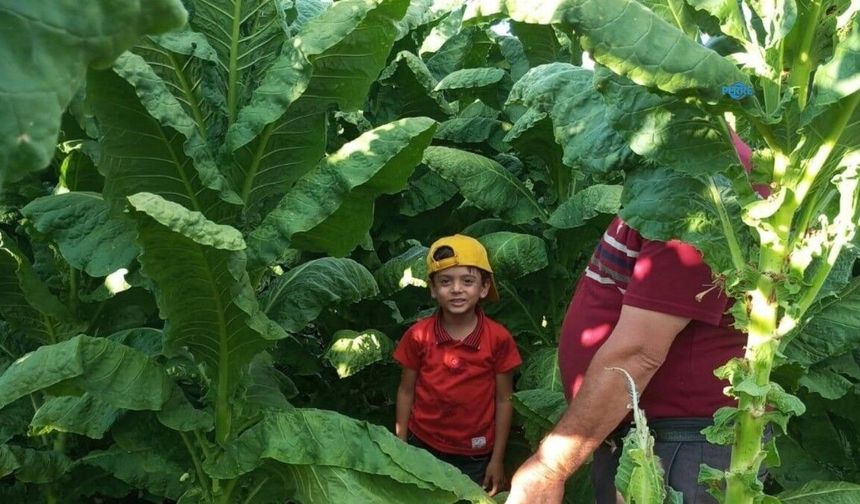 BBP Adıyaman İl Başkanlığı tütün üreticilerinin sorunlarını genel merkeze taşıyacak