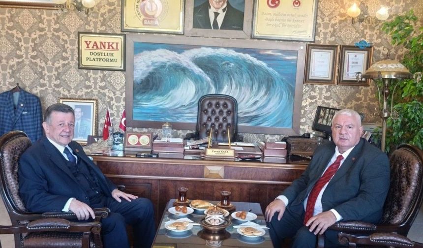 Gazetecilere yeşil pasaport için ortak girişim