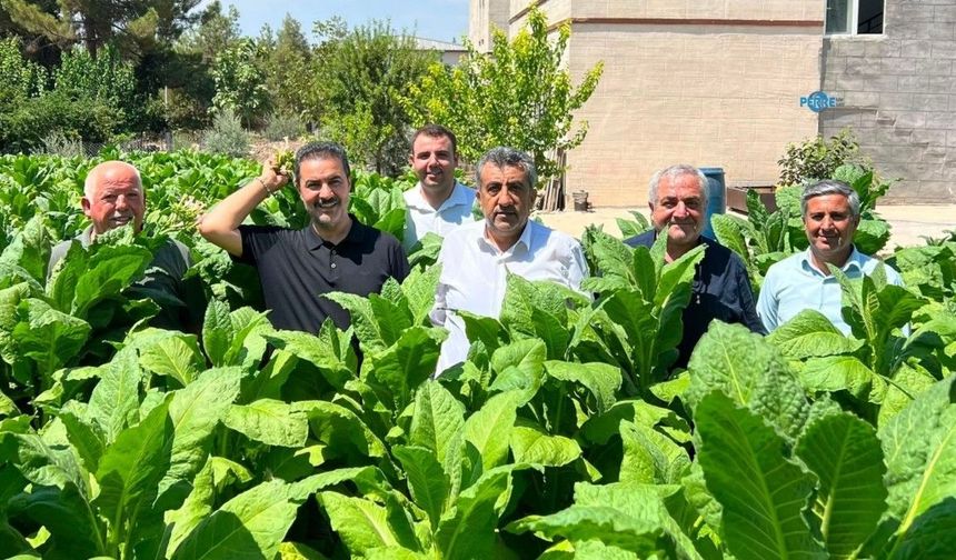 İsmail Demir: 'Adıyamanlı tütün üreticisinin sesini duyun'